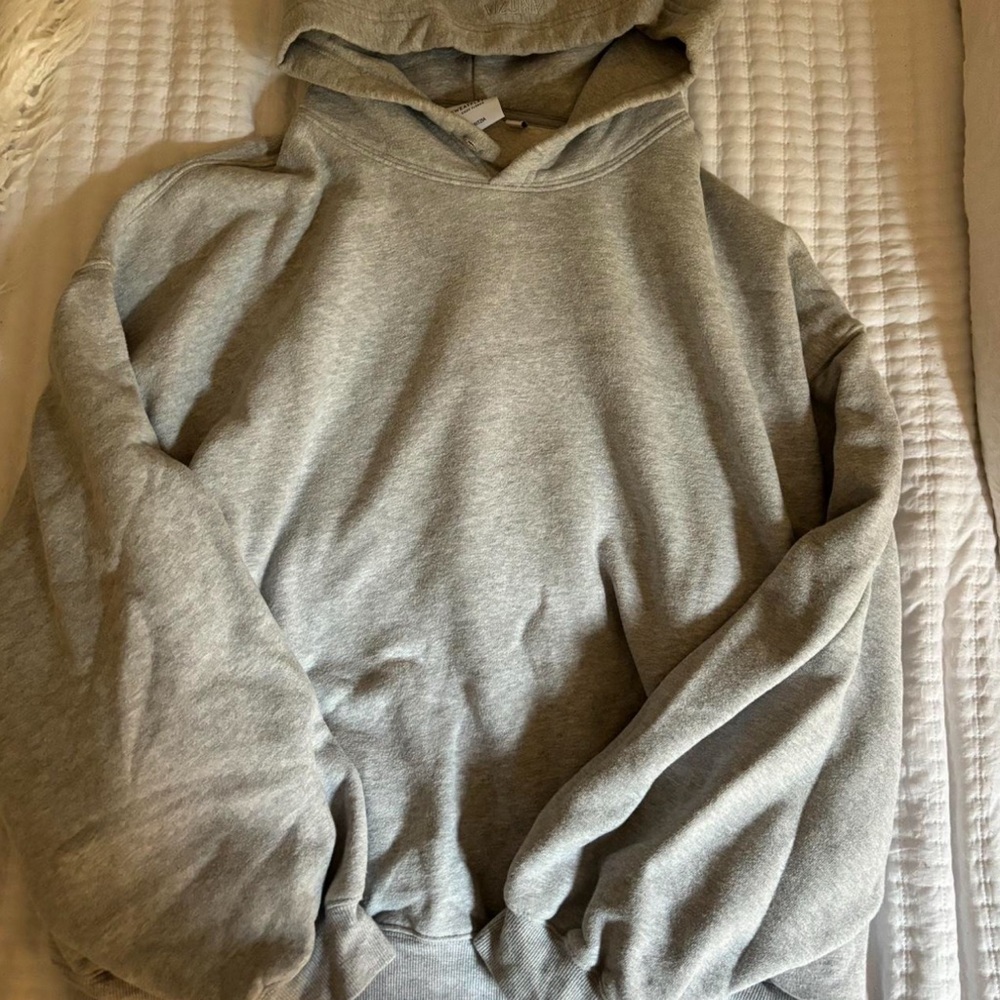 Gray Aritzia Hoodie